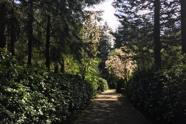 Dodenherdenking 2021