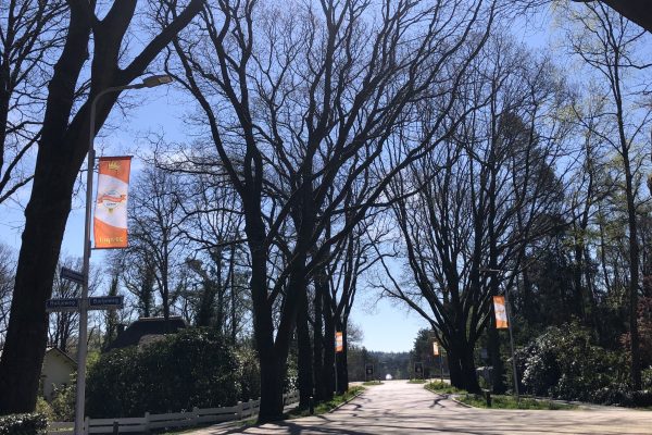 Banieren 100 jaar Oranjevereniging Wolfheze
