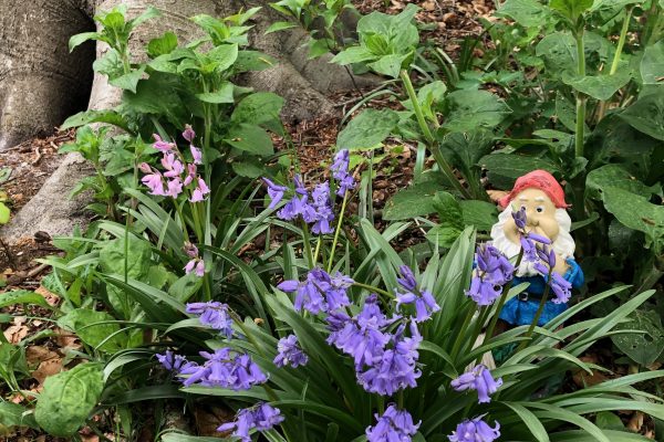 Kabouterpad, 100-jarig jubileum 30 april